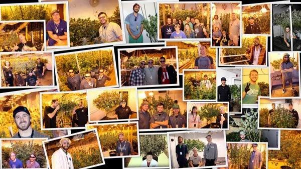 Grow-Off Wettbewerber 2016